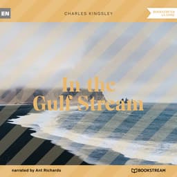 In the Gulf Stream - Ant Richards