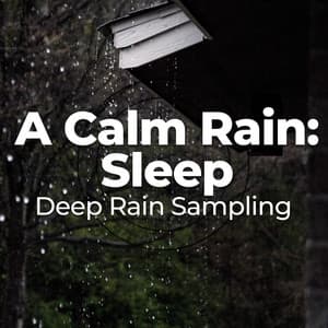 A Calm Rain: Sleep - Deep Rain Sampling