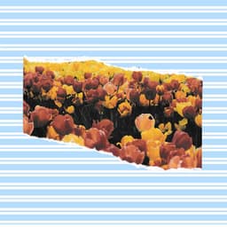 Music for Brave Keynotes - Jazz For Sleeping