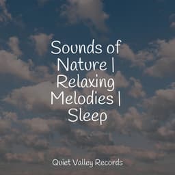 Sounds of Nature | Relaxing Melodies | Sleep - Rest & Relax Nature Sounds