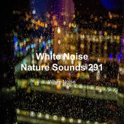 White Noise 291 - White Noise