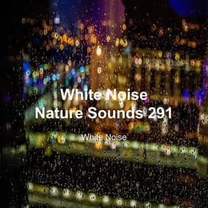 White Noise 291 - White Noise