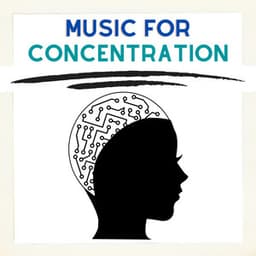 Background Music For Concentration - Music for Concentration