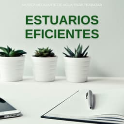 Estuarios Eficientes: Música Relajante De Agua Para Trabajar - Los paisajes sonoros de la naturaleza