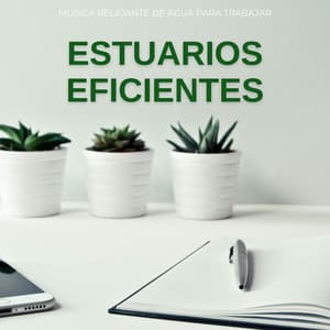Estuarios Eficientes: Música Relajante De Agua Para Trabajar - Los paisajes sonoros de la naturaleza