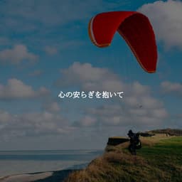 心の安らぎを抱いて - Cosy Music Deluxe