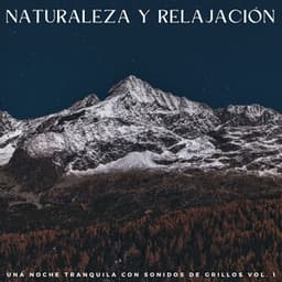 Naturaleza Y Relajación: Una Noche Tranquila Con Sonidos De Grillos Vol. 1 - Artistas de sonidos de la naturaleza