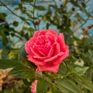 10 Chakras: Peaceful Afterthought - Spa Music Relaxation