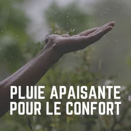 Pluie Apaisante Pour Le Confort - Pluie et tonnerre