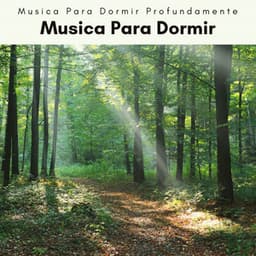 1 Musica Para Dormir - Musica Para Dormir Profundamente