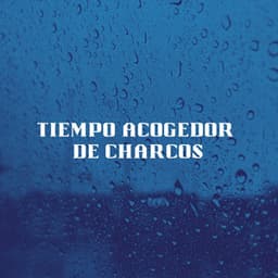 Tiempo Acogedor De Charcos - Registradores de lluvia