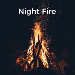 Night Fire - Fire Crackling Sounds