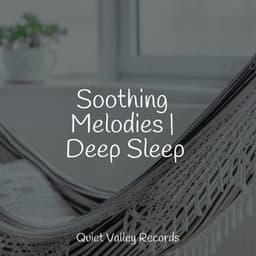 Soothing Melodies | Deep Sleep - Music For Absolute Sleep
