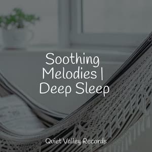 Soothing Melodies | Deep Sleep - Music For Absolute Sleep