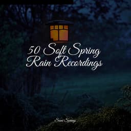 50 Soft Spring Rain Recordings - Academia de Meditação Buddha