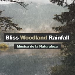 Bliss Woodland Rainfall - Música de la Naturaleza