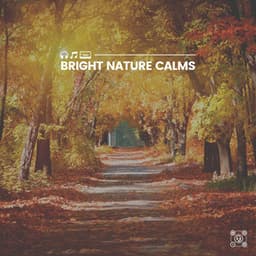 Bright Nature Calms - Weather Sounds