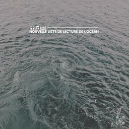 Nouvelle liste de lecture de l'océan - Vagues Dans La Mer