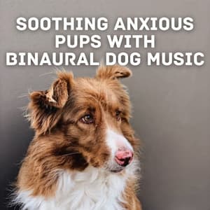 Soothing Anxious Pups with Binaural Dog Music - Binaural Beats MT
