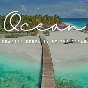 Music of Baby Waves: Coastal Serenity by the Ocean - Sounds of The Sea