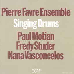 Singing Drums - Pierre Favre