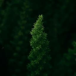 100 Waves: Beyond Nature's Veil - Nature Sound Collection