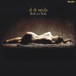 Flesh On Flesh - Al Di Meola