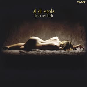 Flesh On Flesh - Al Di Meola