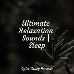 Ultimate Relaxation Sounds | Sleep - Rainfall