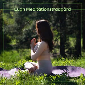 Lugn Meditationsträdgård - Eny Time
