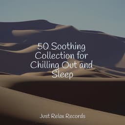 50 Soothing Collection for Chilling Out and Sleep - Ambient