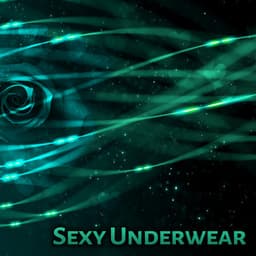 Sexy Underwear - Erotic Dreams, Wonderful Experiences, Love Lovers, Sexy Places - Erotic Jazz Music Ensemble
