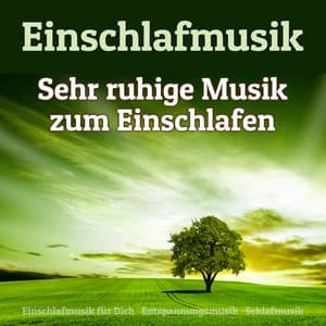 Einschlafmusik - Sehr ruhige Musik zum Einschlafen - Entspannungsmusik