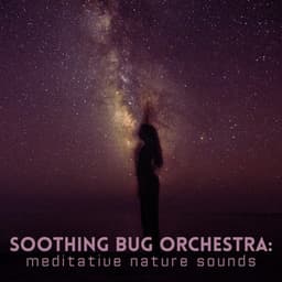 Soothing Bug Orchestra: Meditative Nature Sounds - Music of the Forest