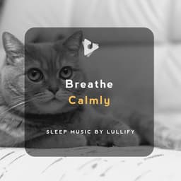 Breathe Calmly - Sleep Music by Lullify