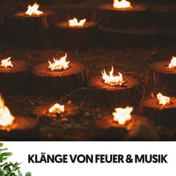 Sons de Feu et Musique : Braises en Harmonie - Cat Music