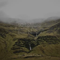 50 Calming Rainfall Album from Nature - Sleep Sounds of Nature