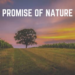 Promise of Nature - Nature's Noise