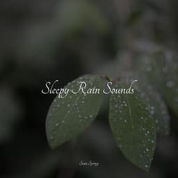 Sleepy Rain Sounds - Especialistas de Musica para Dormir