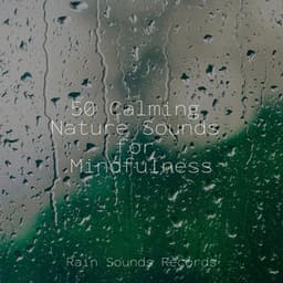 50 Calming Nature Sounds for Mindfulness - Meditation Rain Sounds
