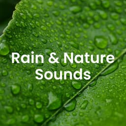 Healing Nature: Calming Sounds of Birds & Tranquil Environments - Healing Power Natural Sounds Oasis