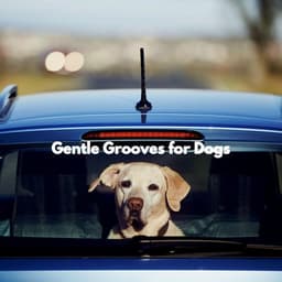 Gentle Grooves for Dogs - Musica Relajante para Perros Momentos