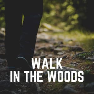 Walk in the Woods - Cricket Sounds