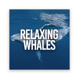 Relaxing Whales - Natural Sounds