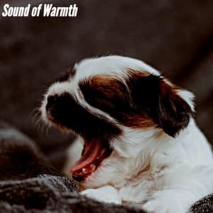 Sound of Warmth - Bossa Cafe Deluxe