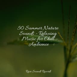 50 Summer Nature Sounds - Relaxing Music for Chill Ambience - Rain Sound Studio