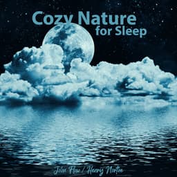 Cozy Nature for Sleep - John Flow
