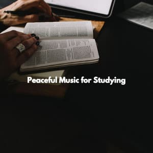 Peaceful Music for Studying - Jazz Chill Out Lounge