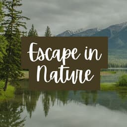 Escape in Nature - Cricket Sounds
