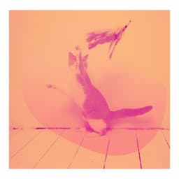 Happening Backdrop for Cats Jukebox - Calming Music for Cats